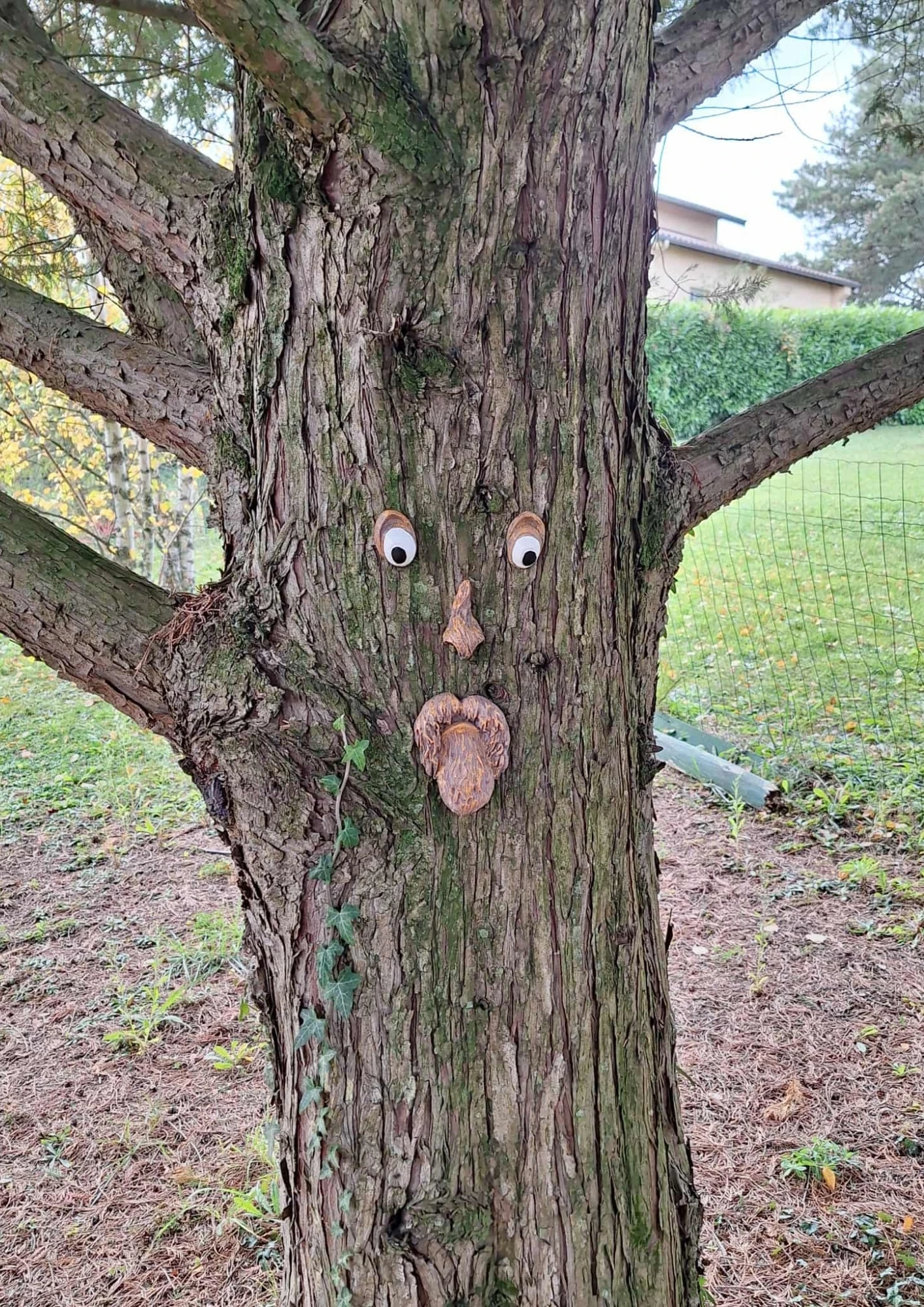 Funny face decor - Enchanted tree effect attachment! Durable resin – photo 4